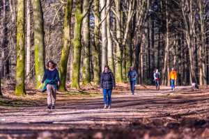 Wandel mee met de 8ste Midden-Veluwe Wandeltocht