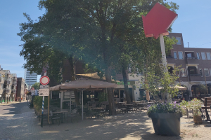 Bomen in Apeldoorn krijgen een TreeTag