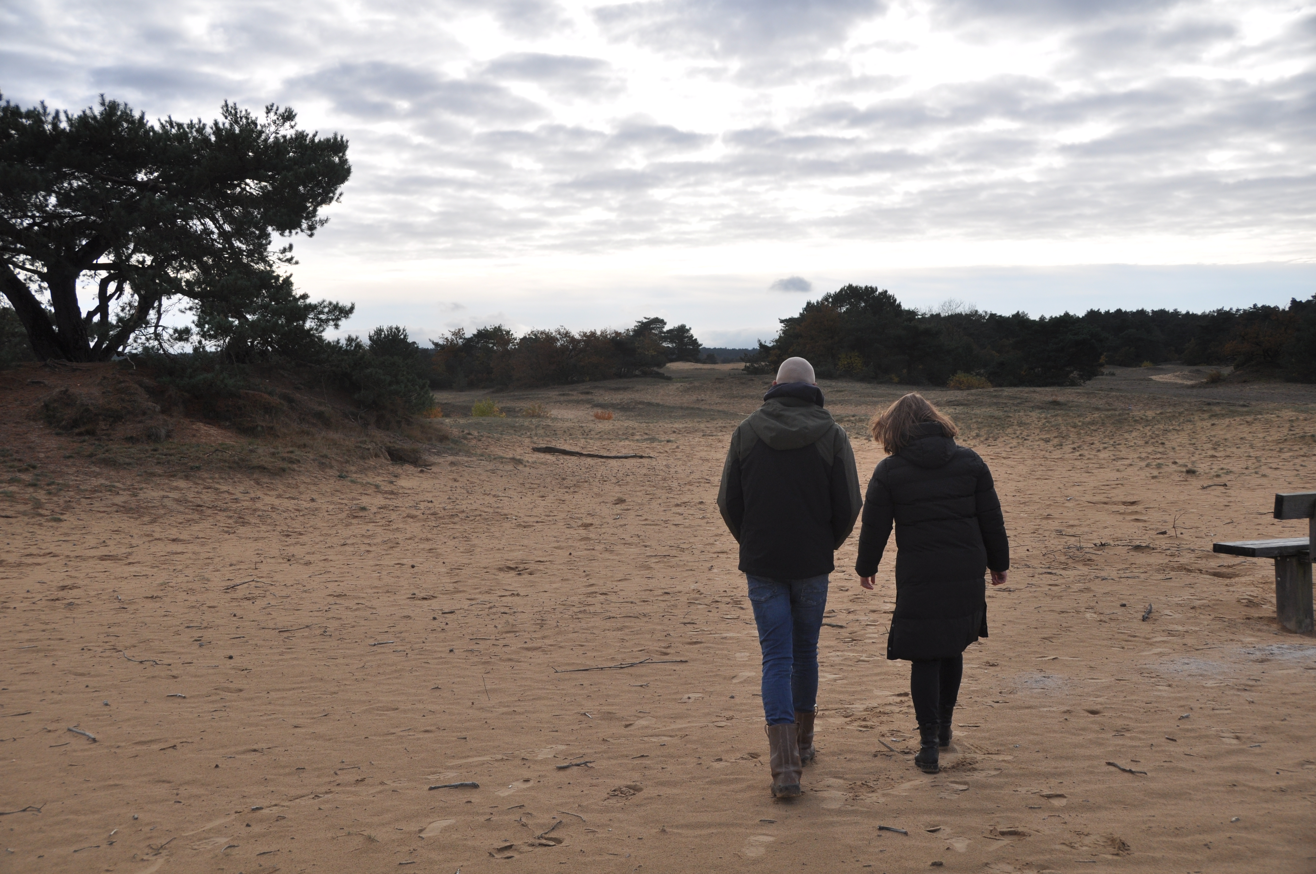 Beleef de Veluwe tijdens de 16e Kootwijker Veen- en Zandtocht 