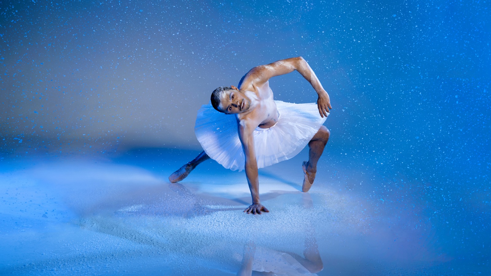 Landelijke première van Introdans Swan Lake in Theater Orpheus