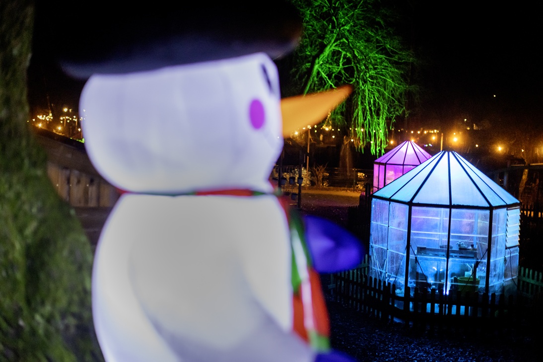 Beleef Binky's Lichtjesfeest 